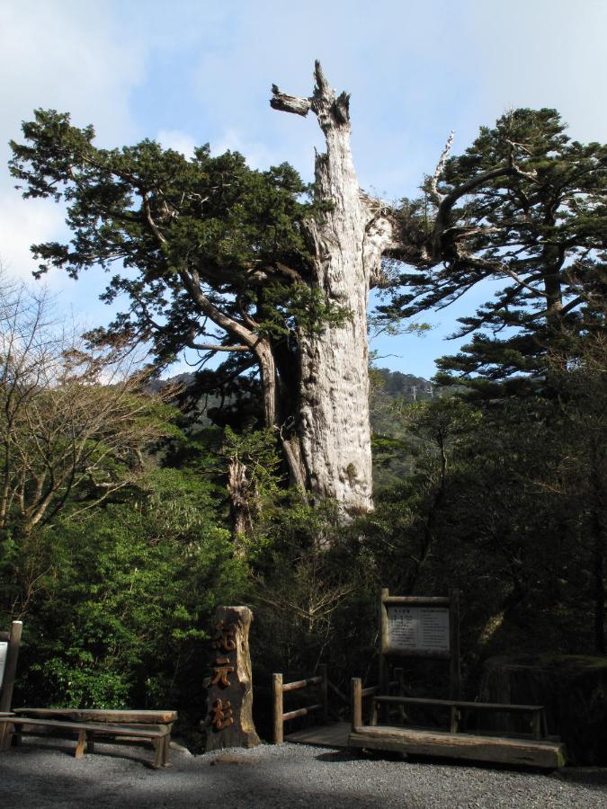 Hotel Yakushima Sanso Luaran gambar